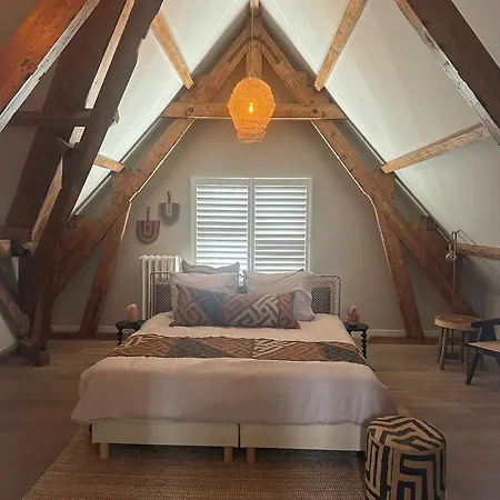Cosy Close To The And Centre Hotel Den Haag